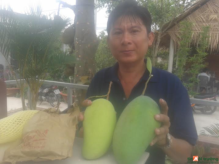 Tiền[-]Giang:[-]Nhà[-]vườn[-]vô[-]tư[-]dùng[-]“túi[-]lạ”[-]bao[-]trái[-]cây